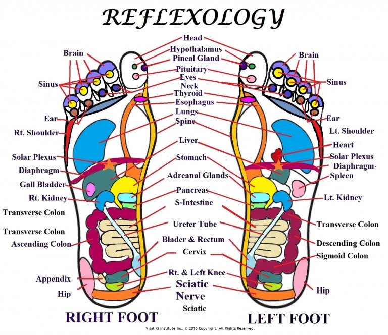 Reflexology Courses – Vital Ki